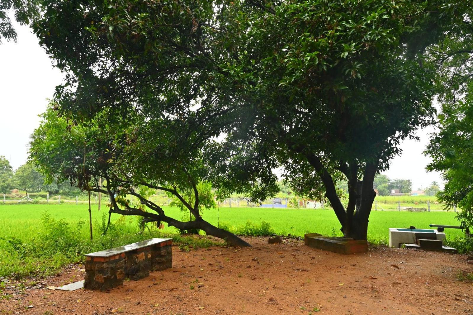 Pathayam Inn Tiruvannamalai Exterior photo